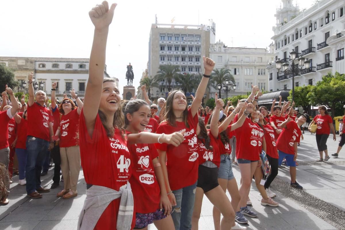 Las Tendillas se llena de 40 años de portadas de Diario CÓRDOBA sobre trasplantes