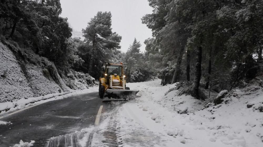 Am Samstag (10.2.) schneite es weiter in der Tramuntana.