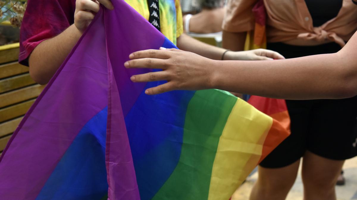 Dos chicos sostienen la bandera LGTBI.