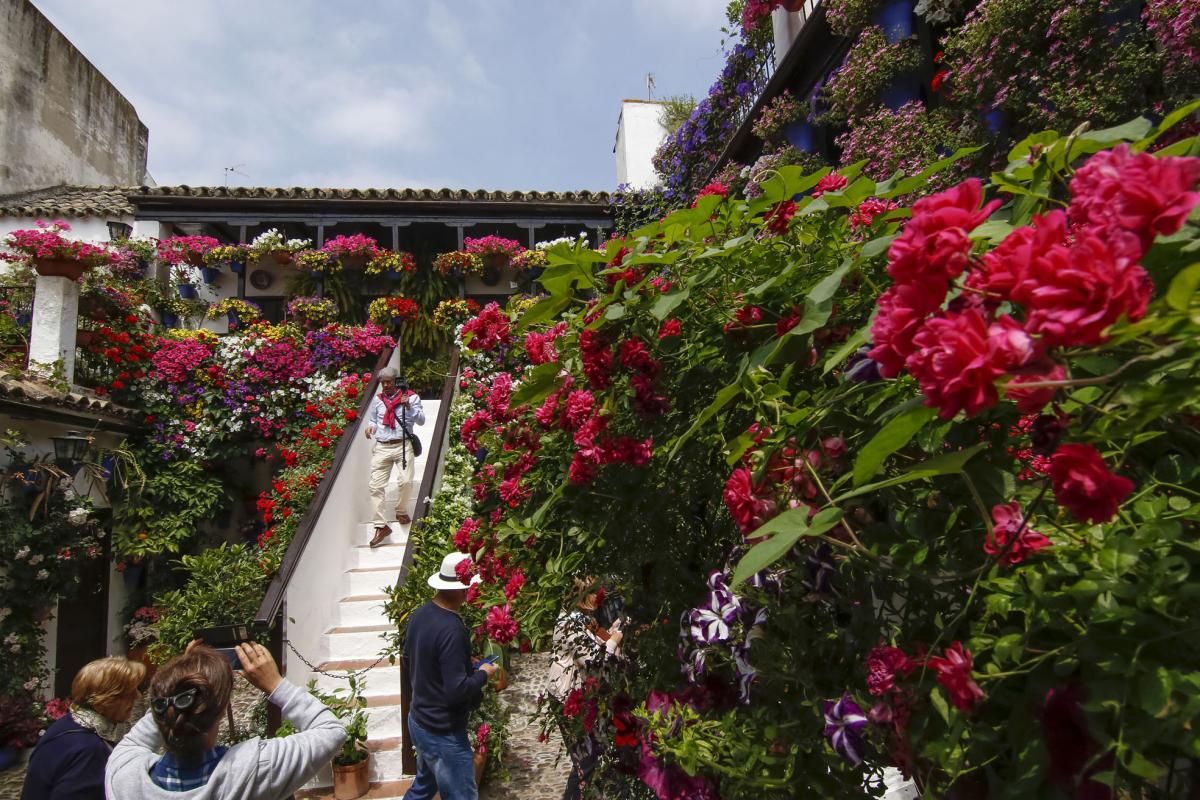 Paseando por el Alcázar Viejo