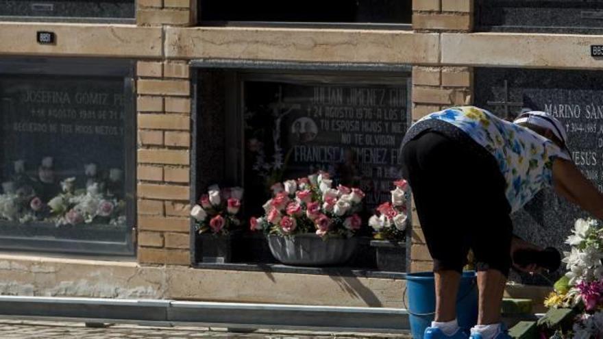 Los enterramientos en altura, en nichos, alivian la falta de espacio en el cementerio de Alicante.