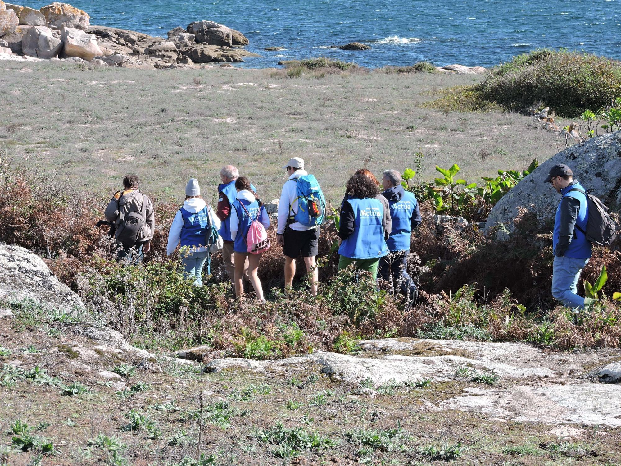 Así luchan los voluntarios de Abanca contra la basura marina y las plantas invasoras en la isla de Sálvora.