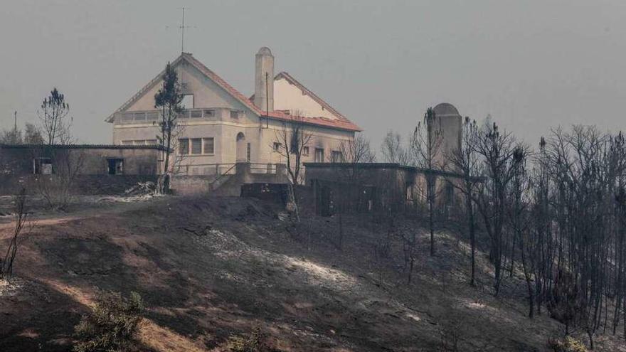 Paraje afectado por los incendios en el centro de Portugal.