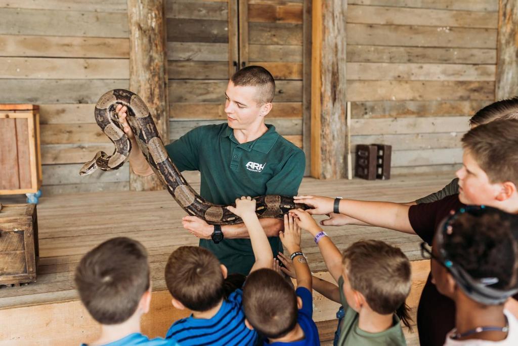 El museo ofrece diferentes actividades para todo tipo de públicos.
