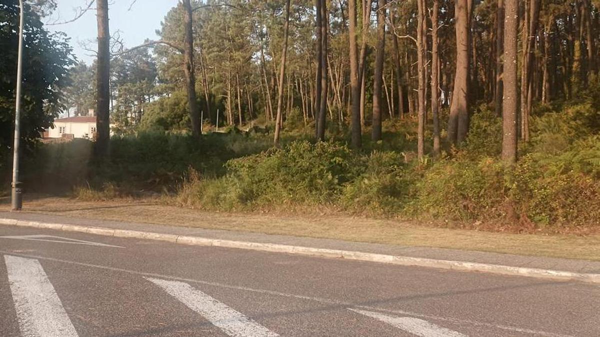 El PP también denuncia el abandono del Monte Central.