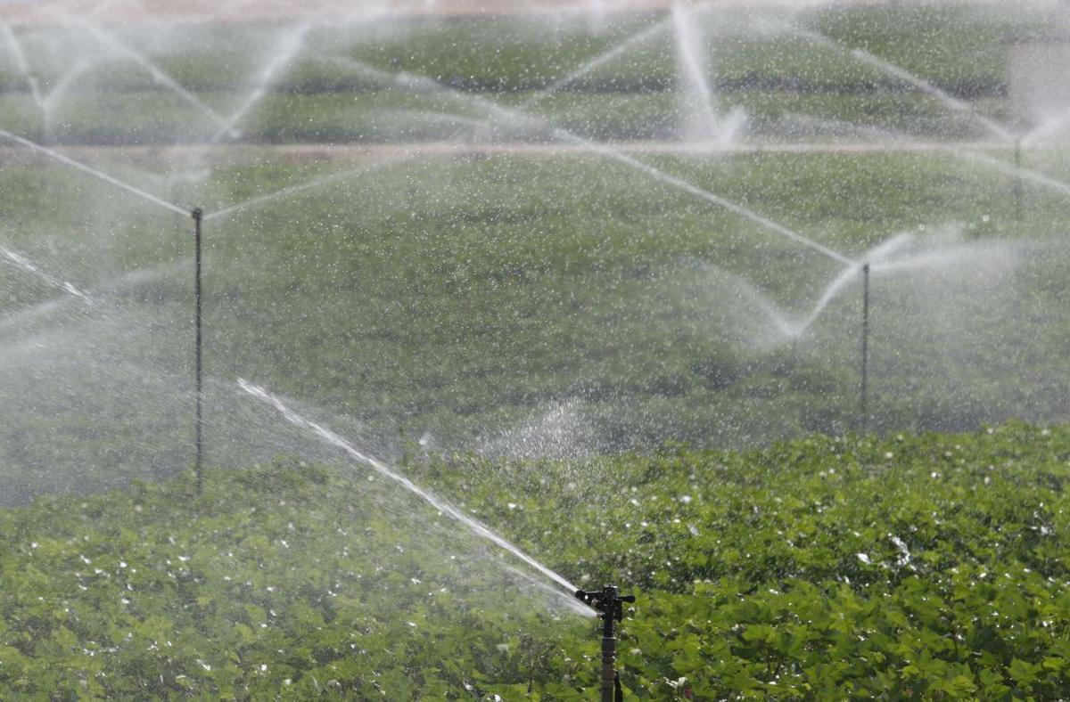 Córdoba, segunda provincia andaluza donde más se encareció la tierra