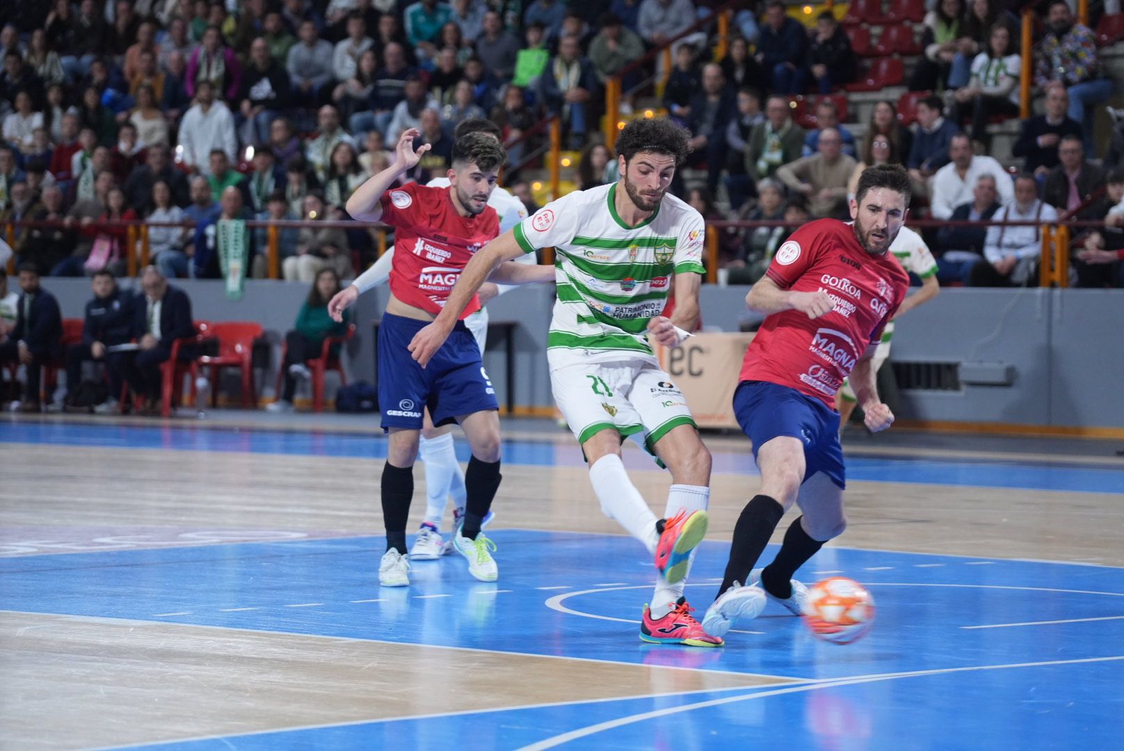 Las imágenes del Córdoba Futsal ante el Osasuna