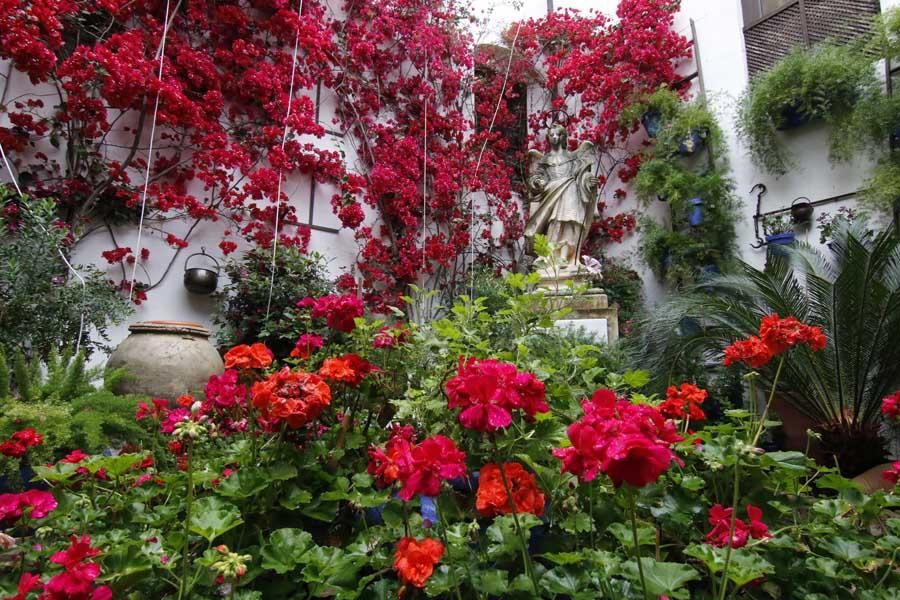 Los patios de Córdoba, San Lorenzo San Rafael