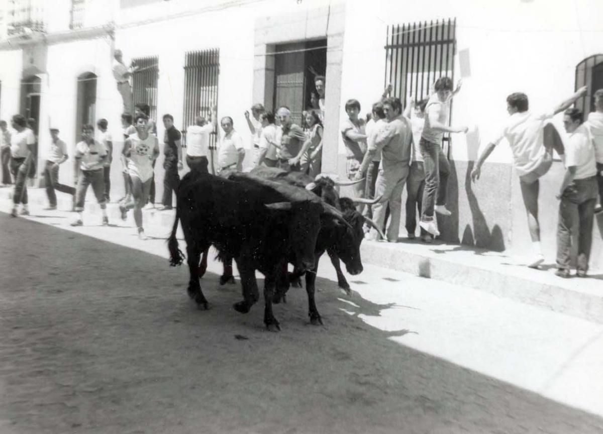 Los encierros de El Viso, en blanco y negro