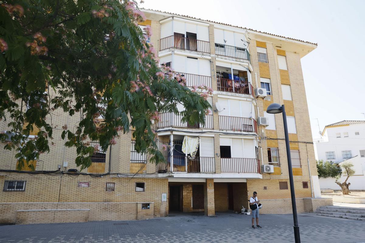 La Guardia Civil investiga el asesinato machista de una mujer en Mairena del Aljarafe La Guardia Civil investiga el asesinato machista de una mujer en Mairena del Aljarafe