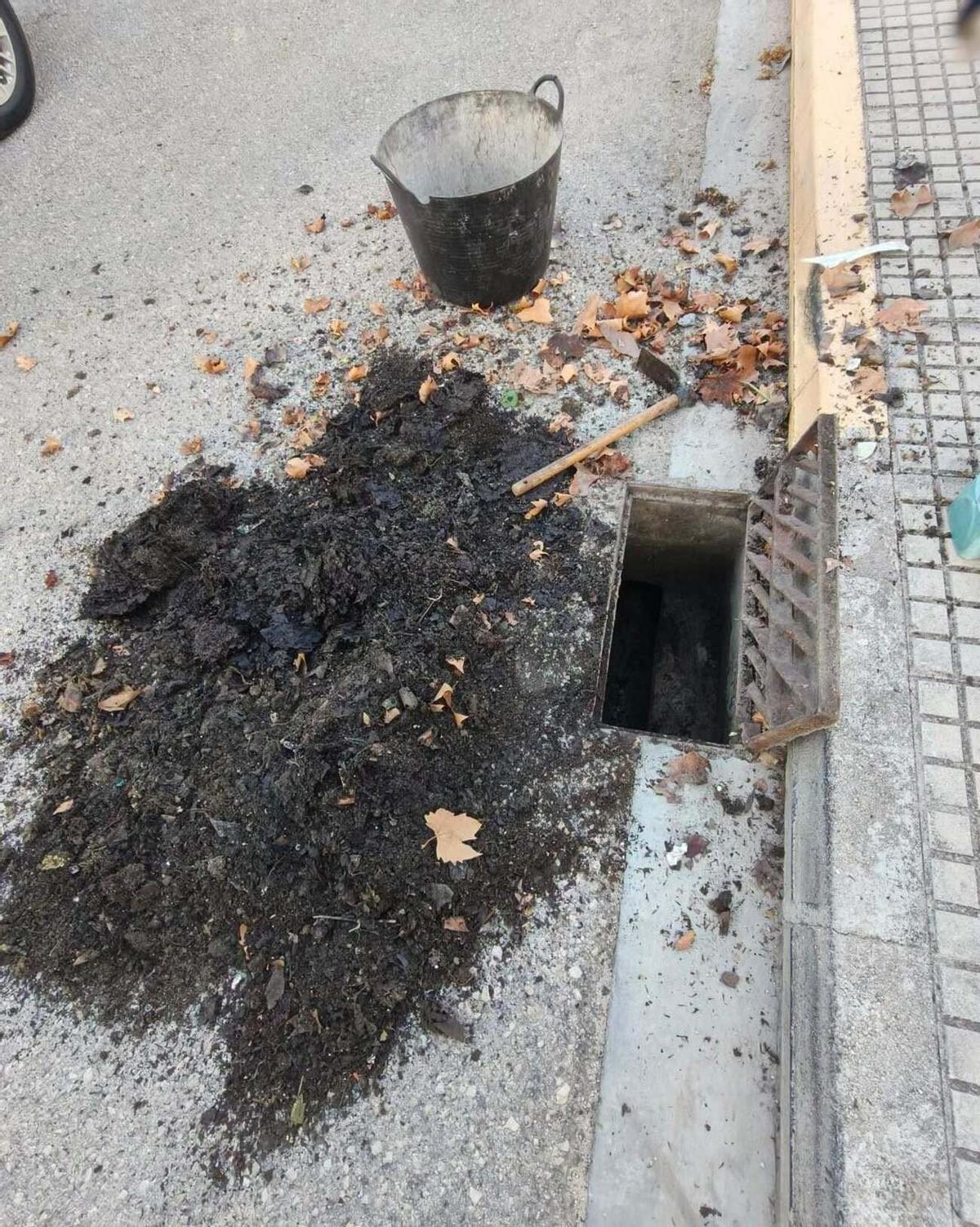 Una actuación de limpieza en Xeresa
