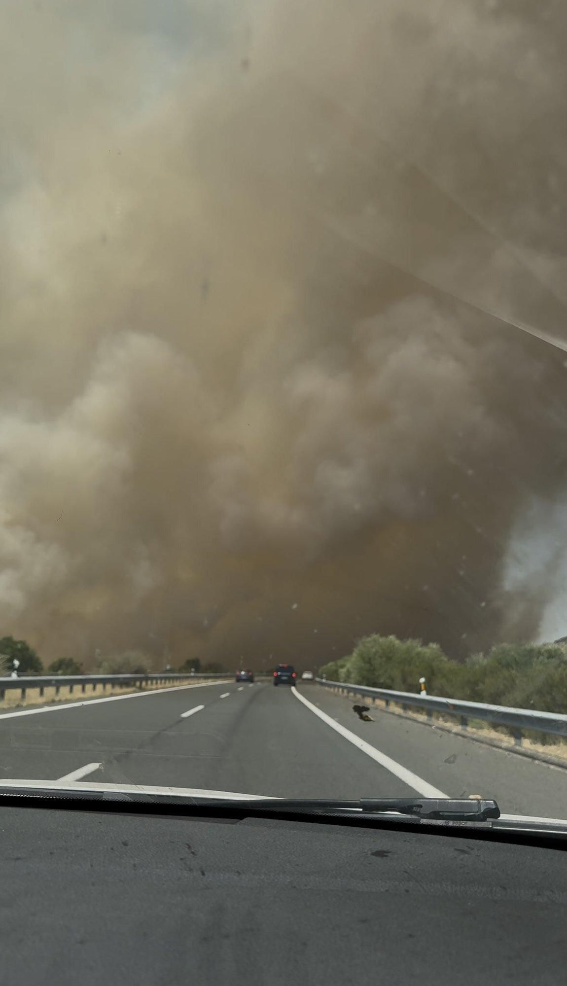 Un incendio forestal en Cáceres corta la A-66