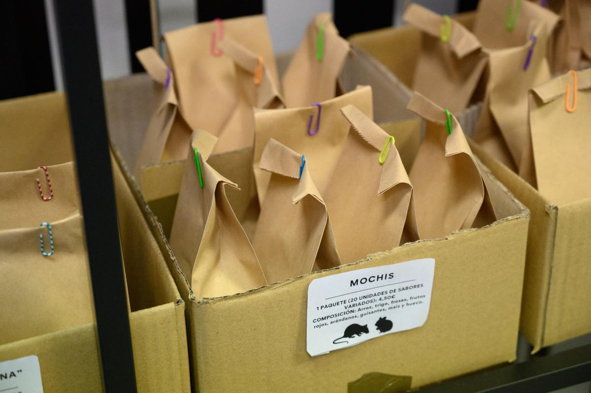 En imágenes | Así es la primera pastelería para mascotas en Aragón