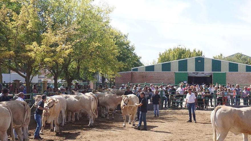 La suspensión o celebración de la Feria de Zafra se decidirá en julio