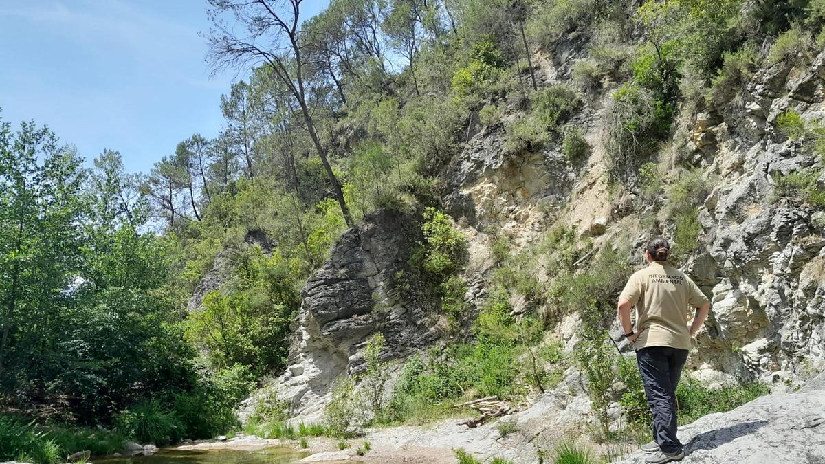 Un informador ambiental al medi natural