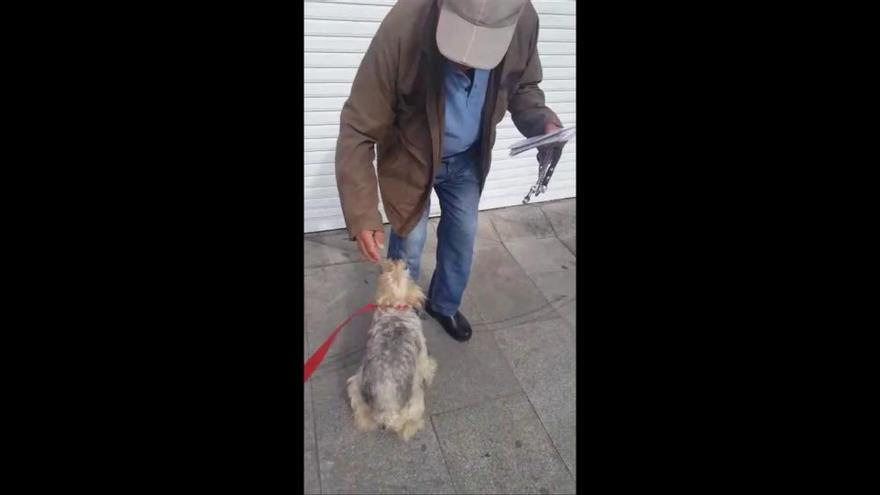 Feliz reencuentro de la perrita "Mesi" con su dueño un año después en Torrevieja