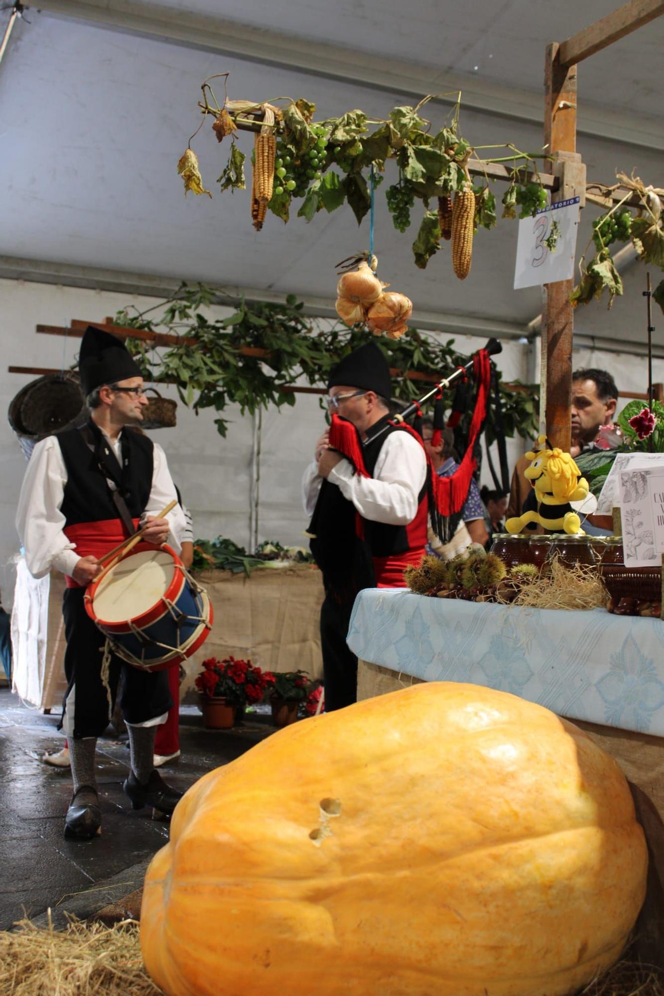 Sama celebra el III Certamen de la Huerta "Llangréu Natural"