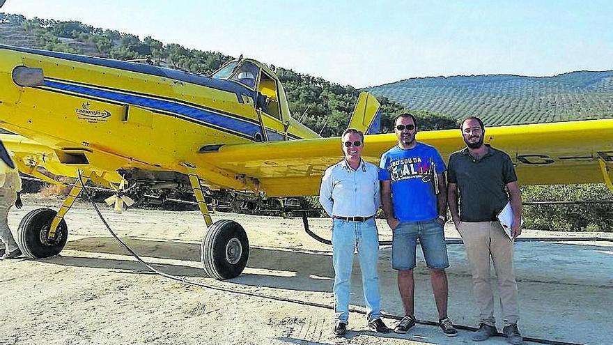 Actúan contra la mosca del olivo en 4.500 hectáreas de cultivo en Baena