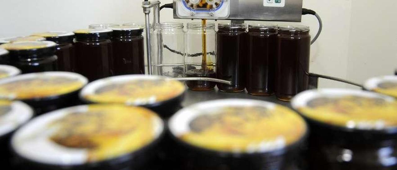 Tarros de miel en el centro de envasado y etiquetado de O Saldoiro. // Bernabé/Javier Lalín