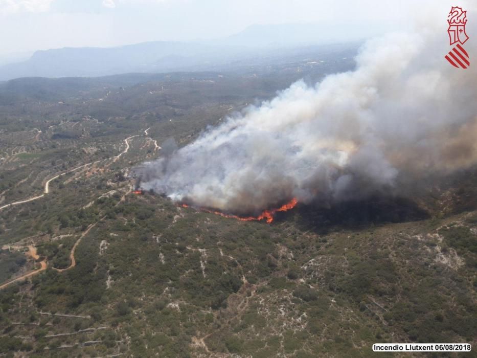 Incendio forestal en Llutxent