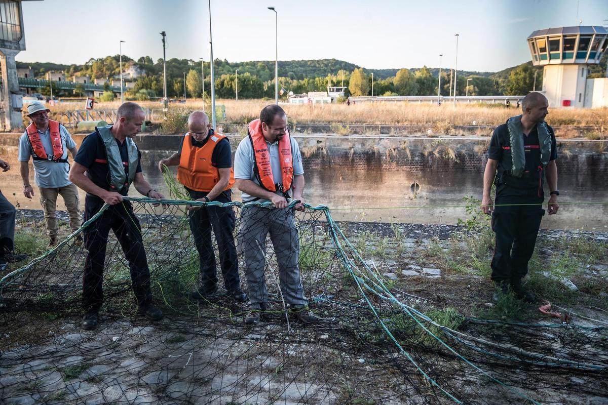 Saint Pierre La Garenne (France), 09/08/2022.- A team of rescuers prepared an operation to move a lost Beluga whale locked in the Seine river in Saint Pierre la Garenne, Normandy Region, France, 09 August 2022. The strayed whale was first spotted on 02 August and a rescue operation will be conducted to move the beluga to a salt water basin before an eventual return to the marine environment. (Francia) EFE/EPA/Christophe Petit Tesson