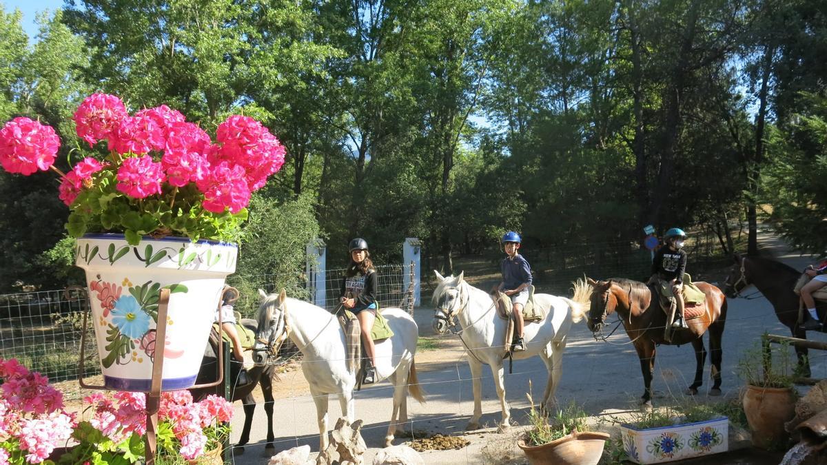 Campamento en inglés desarrollado en el Parque Natural de Cazorla y dirigido a niños de 8 a 14 años.