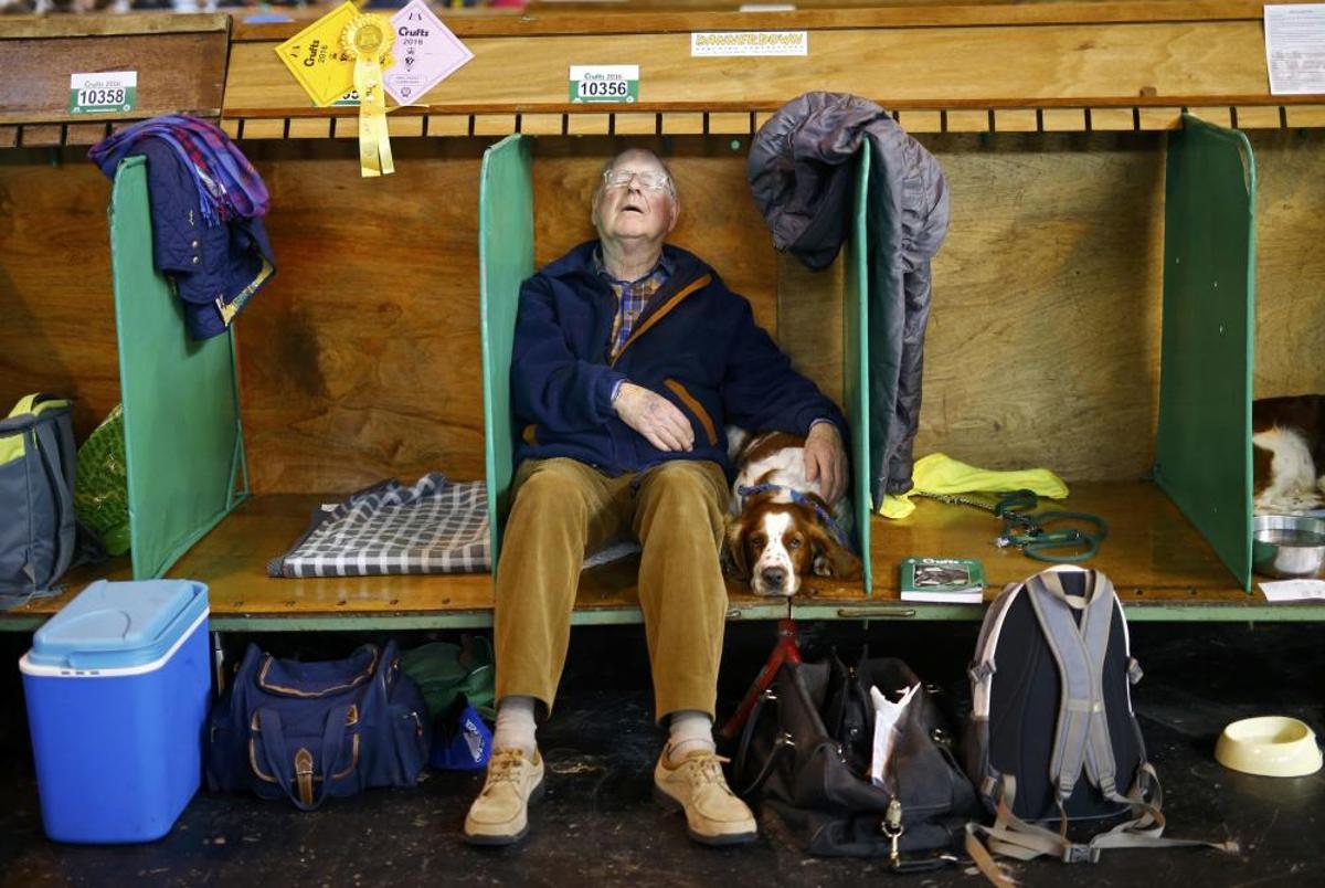 Les imatges més divertides del Crufts Dog Show