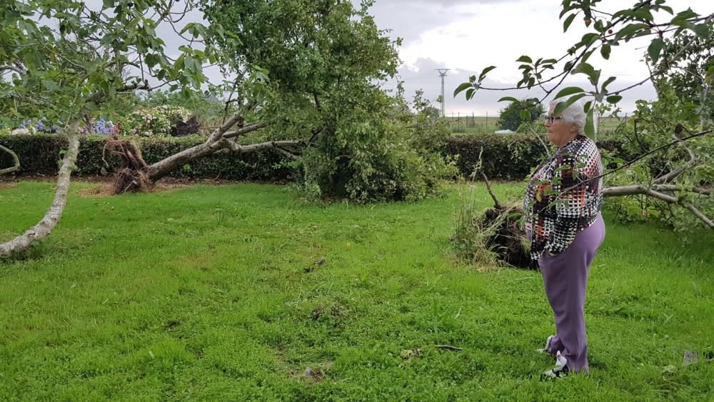 Tornado en Ballota