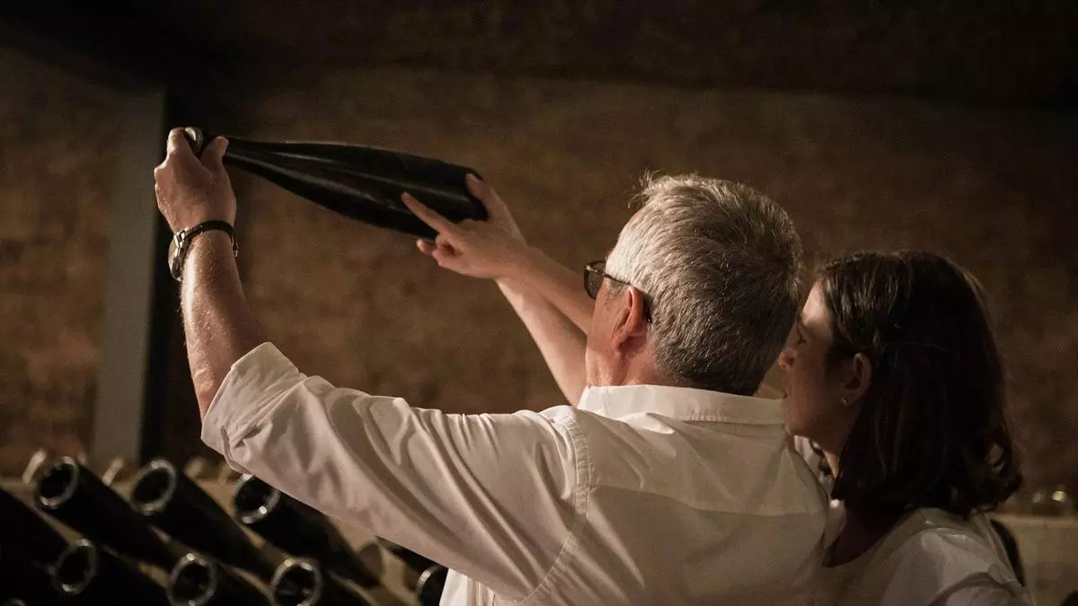 BBVA premia a los 10 Mejores Productores Sostenibles