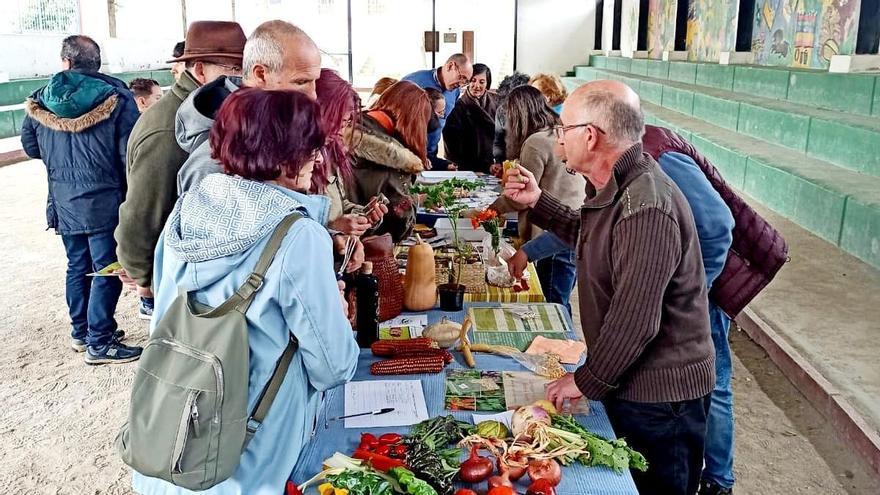 La bolera de Porrúa se convierte en un mercado agrícola para el intercambio de semillas