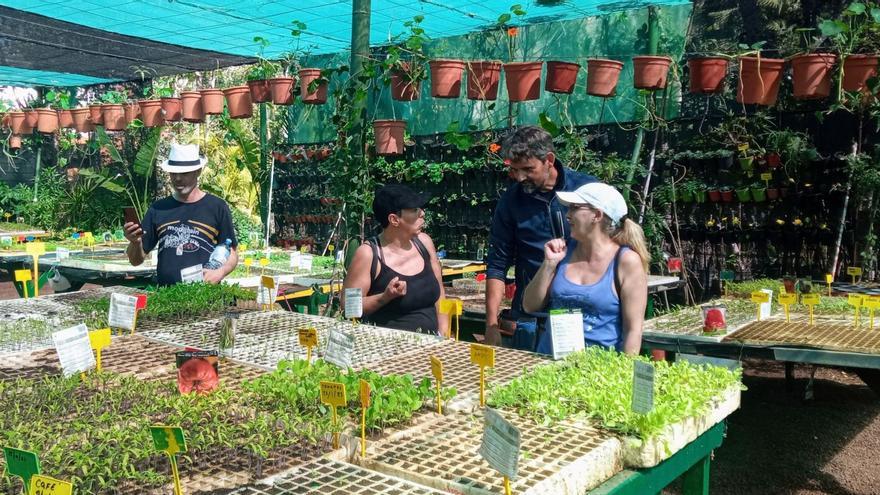 Un grupo de vecinos participa en la iniciativa.