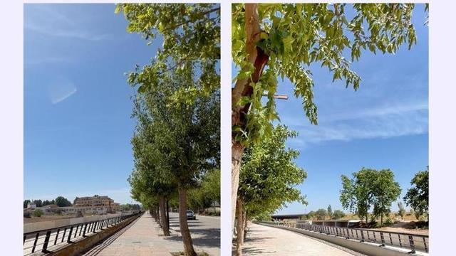 Reobertura del passeig del riu Magre a l’altura de l’avinguda Julio López Tarín, a Utiel