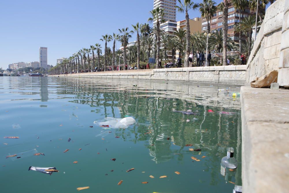 Alicante amanece disfrazada de basura