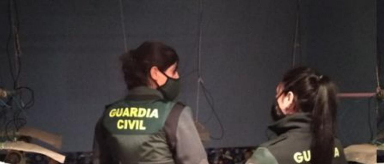 Dos agentes, en la plantación. | GUARDIA CIVIL