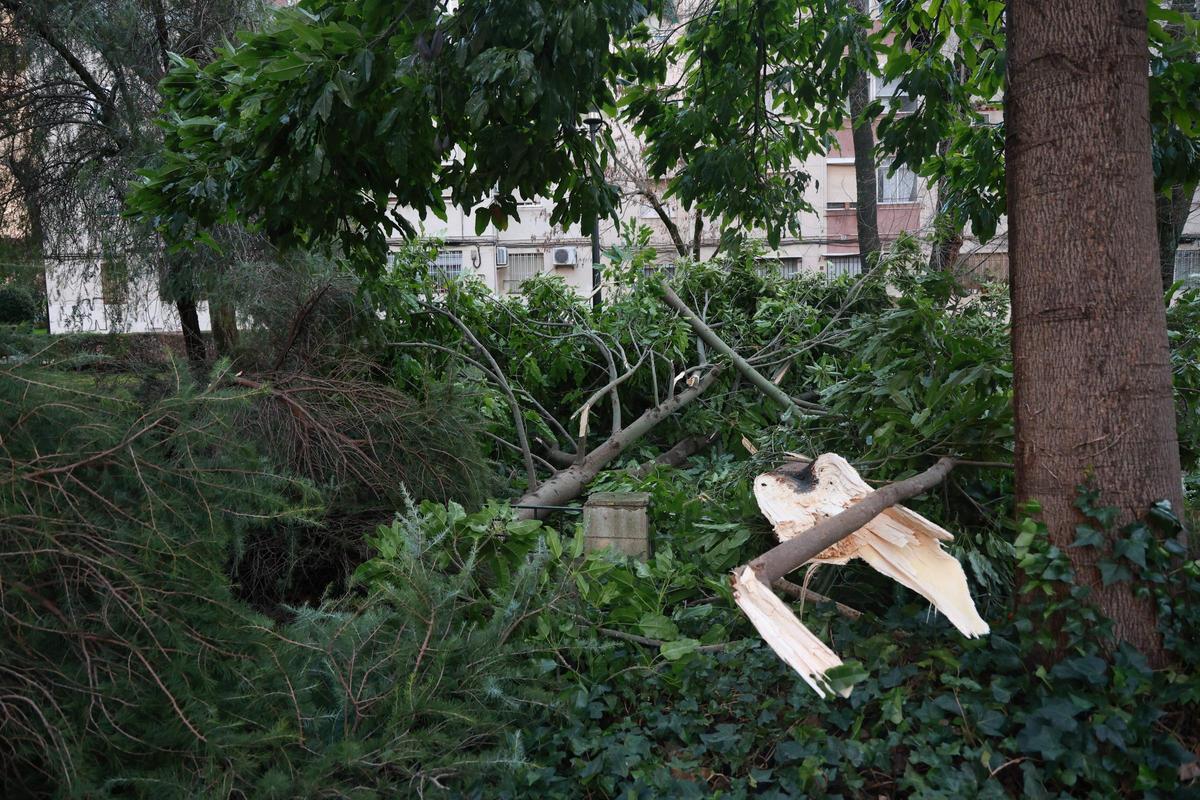 El drama de Médco Sorapán: la borrasca en Cáceres El drama de Médco Sorapán: la borrasca en Cáceres