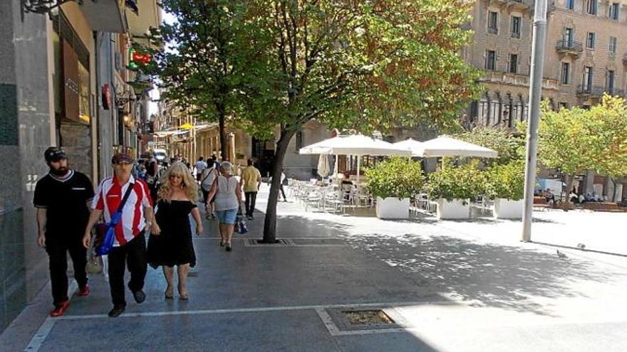 Retiren un arbre en mal estata Sant Domènec