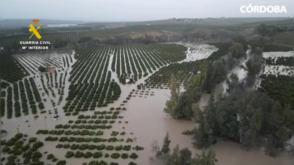 Crecida del Genil en Palma del Río
