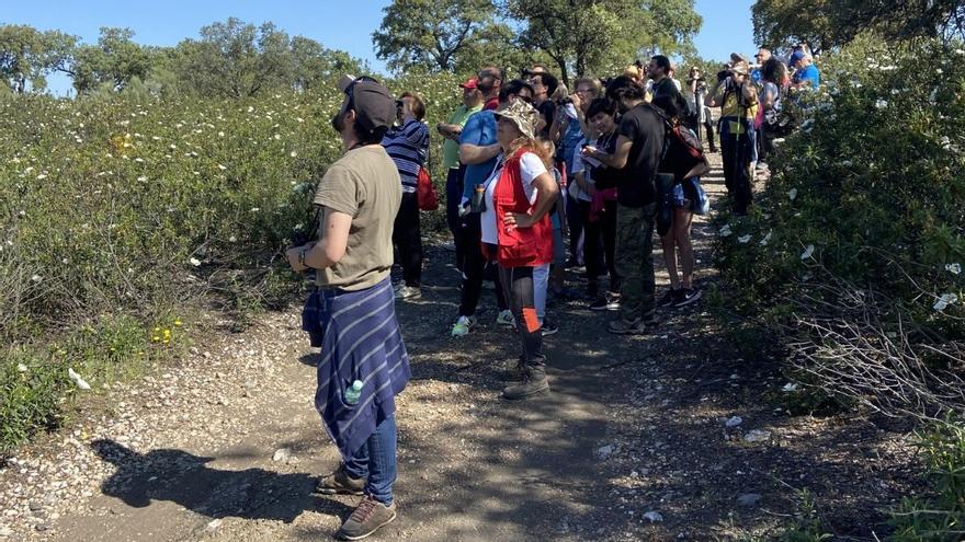 El parque San Martín de Añora acoge una jornada ornitológica