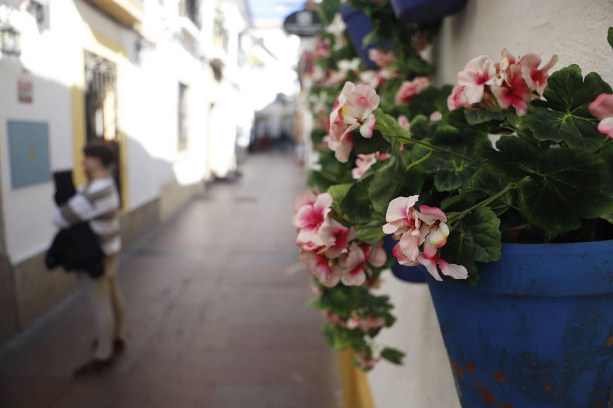 Guías turísticos y vecinos alertan de la invasión de flores de plástico en el casco histórico