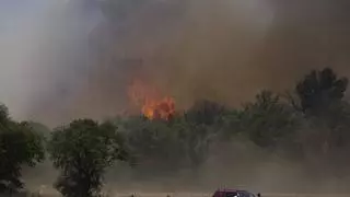 Detenido el operario que realizaba los trabajos con una radial por provocar el incendio de la Bisbal