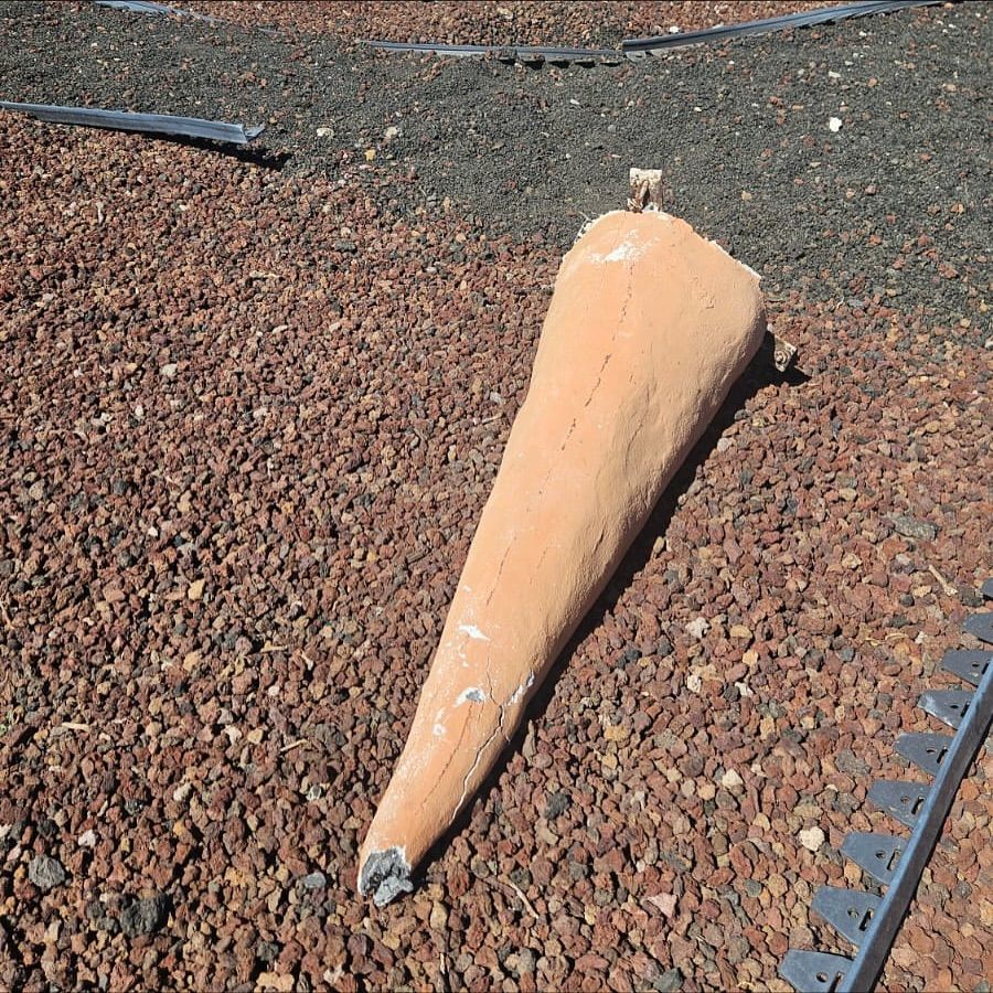 El Muñeco de Nieve de Santa Cruz de Tenerife pierde su nariz