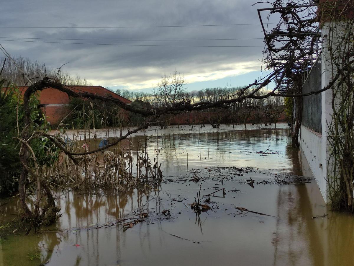 GALERÍA / El río Órbigo desbordado en Benavente, en imágenes GALERÍA / El río Órbigo desbordado en Benavente, en imágenes