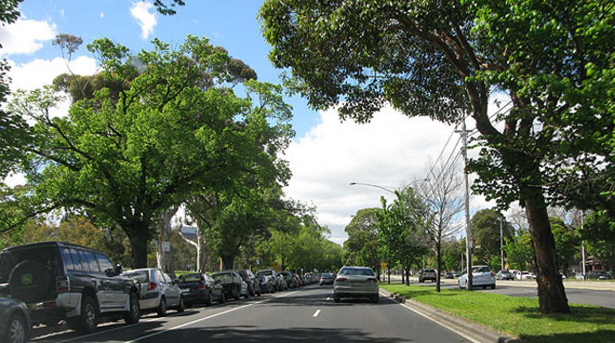 Un carrer en un barri idíl·lic de Melbourne, sense papers a terra ni gossos, només cotxes ben aparcats i arbres frondosos. Un carrer en un barri idíl·lic de Melbourne, sense papers a terra ni gossos, només cotxes ben aparcats i arbres frondosos.