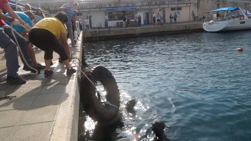 Jornada de limpieza portuaria en Cala Rajada