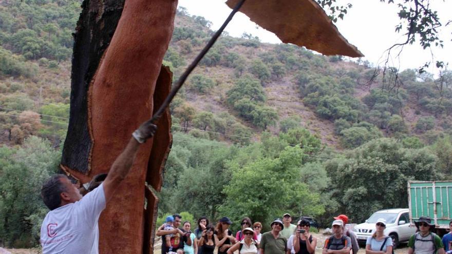 La Serra d´Espadà desde dentro