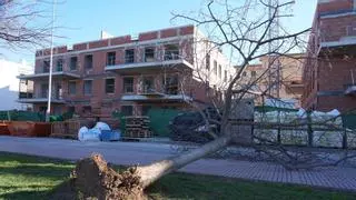 Castellón deja atrás la borrasca Oriana tras vientos de 172 km/h y más de 600 intervenciones de los bomberos