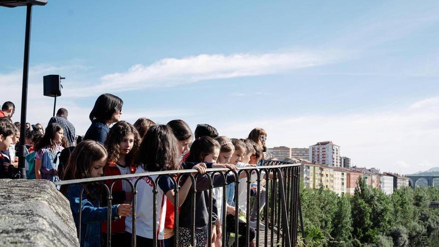 Los secretos de las grietas del Puente Romano de Ourense: 500 escolares conocen a sus inquilinos más veloces