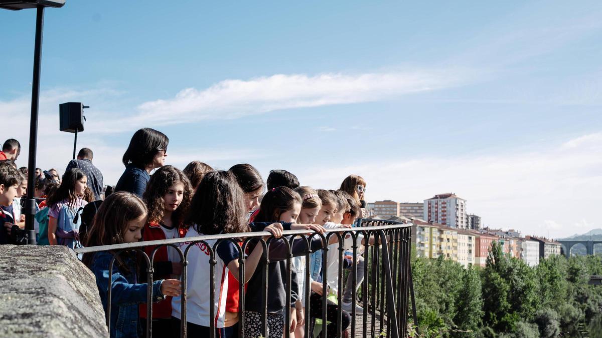 Los secretos de las grietas del Puente Romano de Ourense: 500 escolares conocen a los vencejos, sus inquilinos más veloces