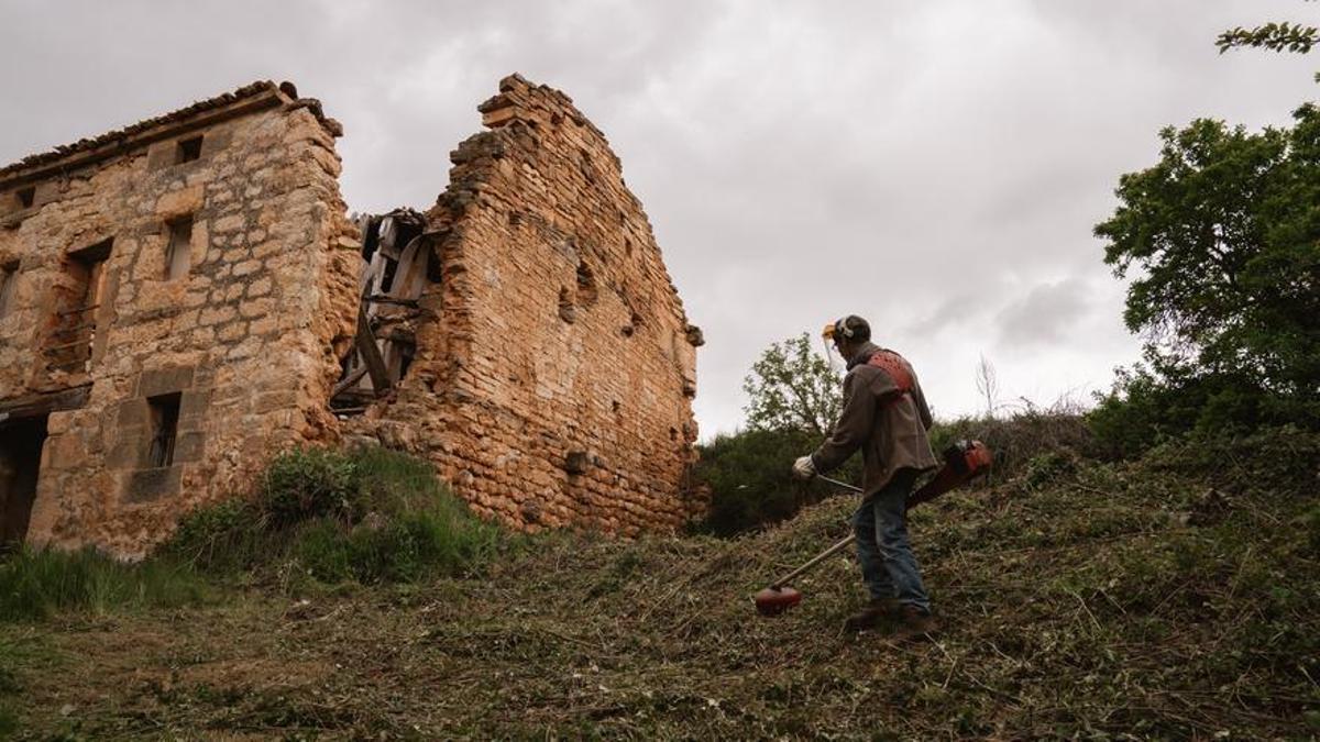 El padre de Maaike, Gerard, siega una finca del pueblo.