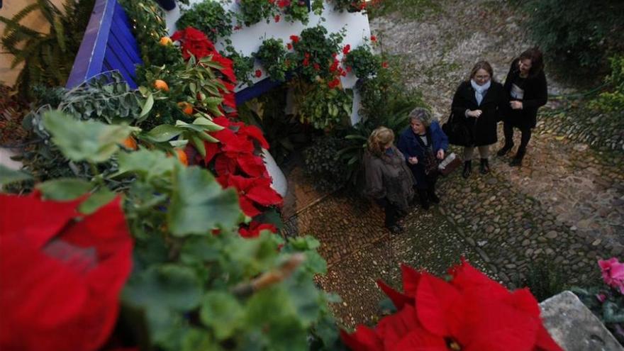 Más de 25 patios abrirán sus puertas por Navidad